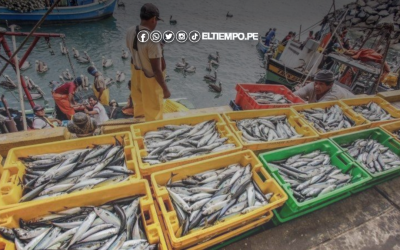 La pesca impulsó el crecimiento económico del Perú a 4.5% en junio
