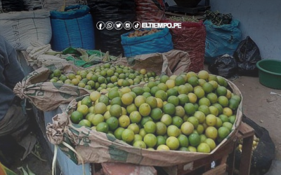 Precio del limón en Piura hoy: la cuartilla llega a S/5 en mercados locales