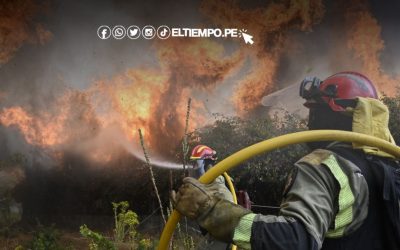 España enfrenta ola de incendios: dos muertos, miles de evacuados y graves daños ambientales