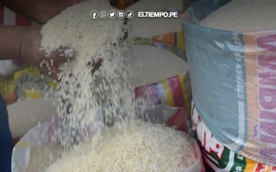 Producción de arroz en Piura creció 16,7% en junio de 2025, según INEI