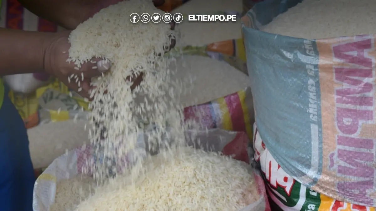 Producción de arroz en Piura creció 16,7% en junio de 2025, según INEI Producción de arroz en Piura creció 16,7% en junio de 2025, según INEI