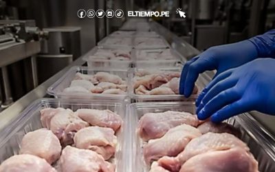 Cae producción de maíz y aves en Piura: aumenta en electricidad y recaudación