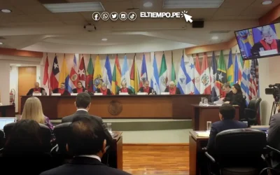 El Perú en la Corte Interamericana de Derechos Humanos