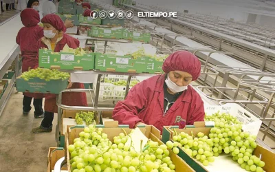 BCR: exportaciones suman US$ 28,725 millones en el primer trimestre del 2026