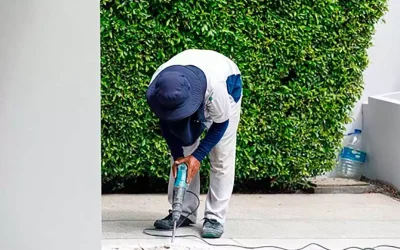 ¿Qué es un taladro percutor y por qué su uso se ha vuelto tan popular?