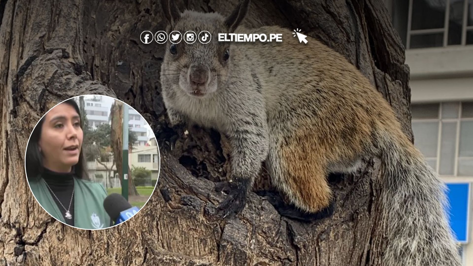 Multa a vecinos de San Isidro