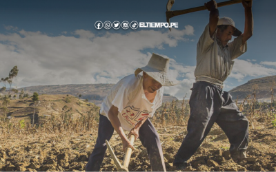 Se promulga la Ley Agraria: ¿cómo afecta a las agroexportadoras y agricultores familiares?