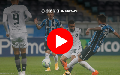 Viper Play TV – Gremio vs Botafogo EN VIVO: cómo ver la fecha 24 del brasileirao