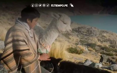 La película quechua Raíz, premiada en Berlín, se estrenará en cines peruanos el 16 de octubre