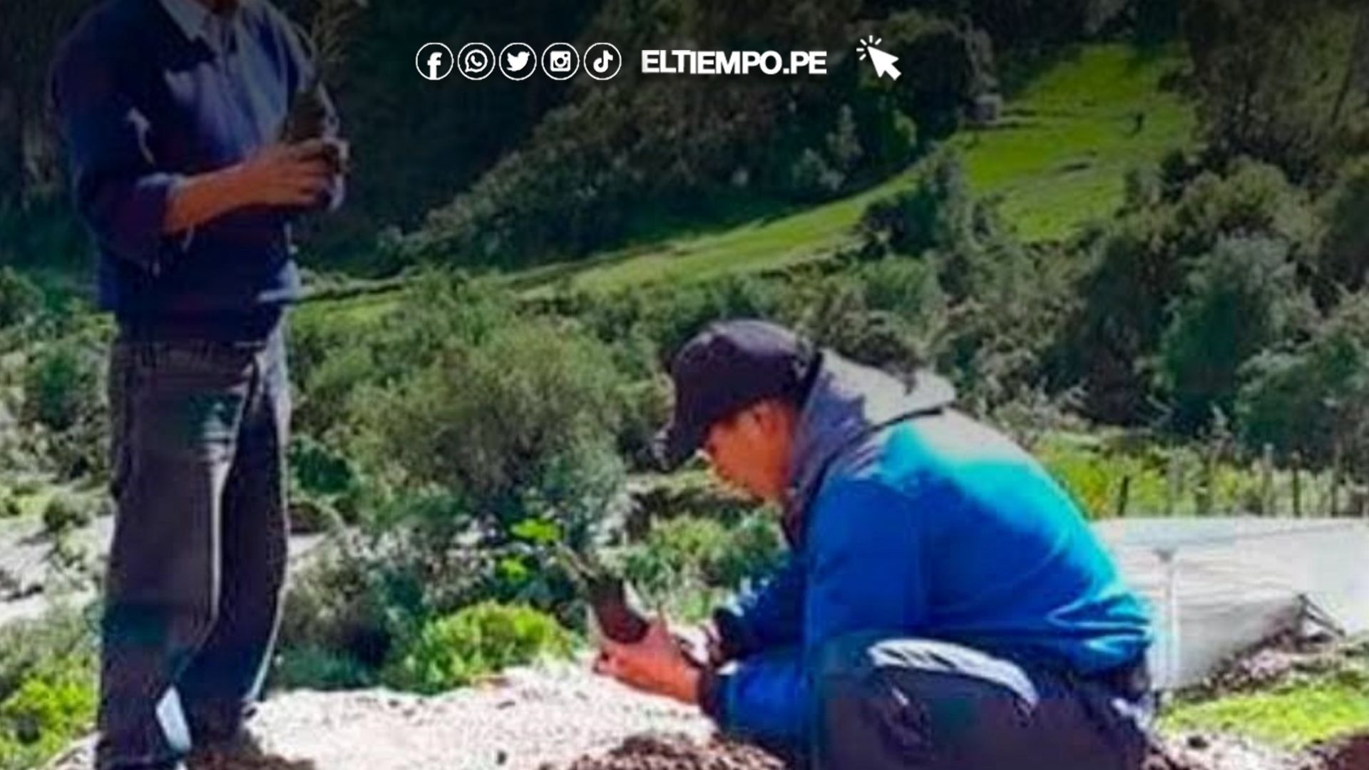 reforestar en talara