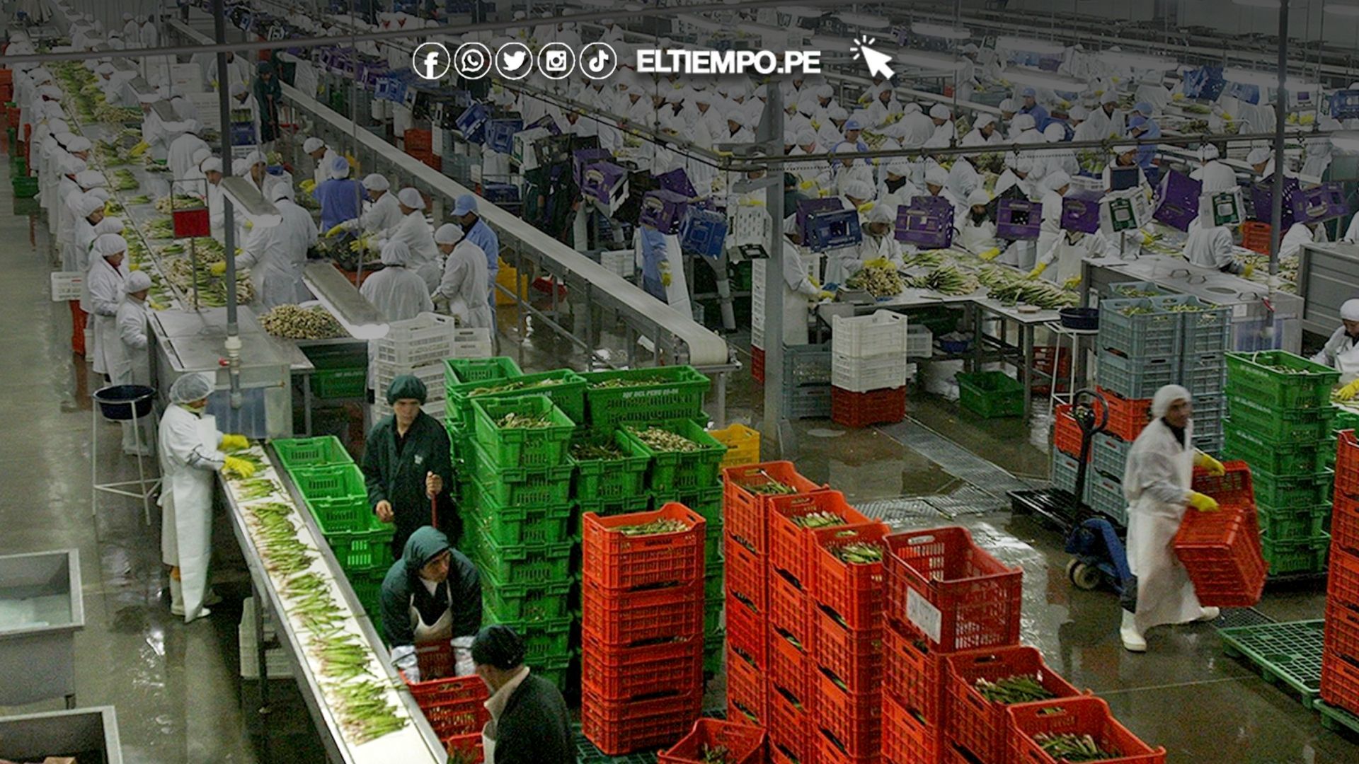 Agroexportaciones peruanas