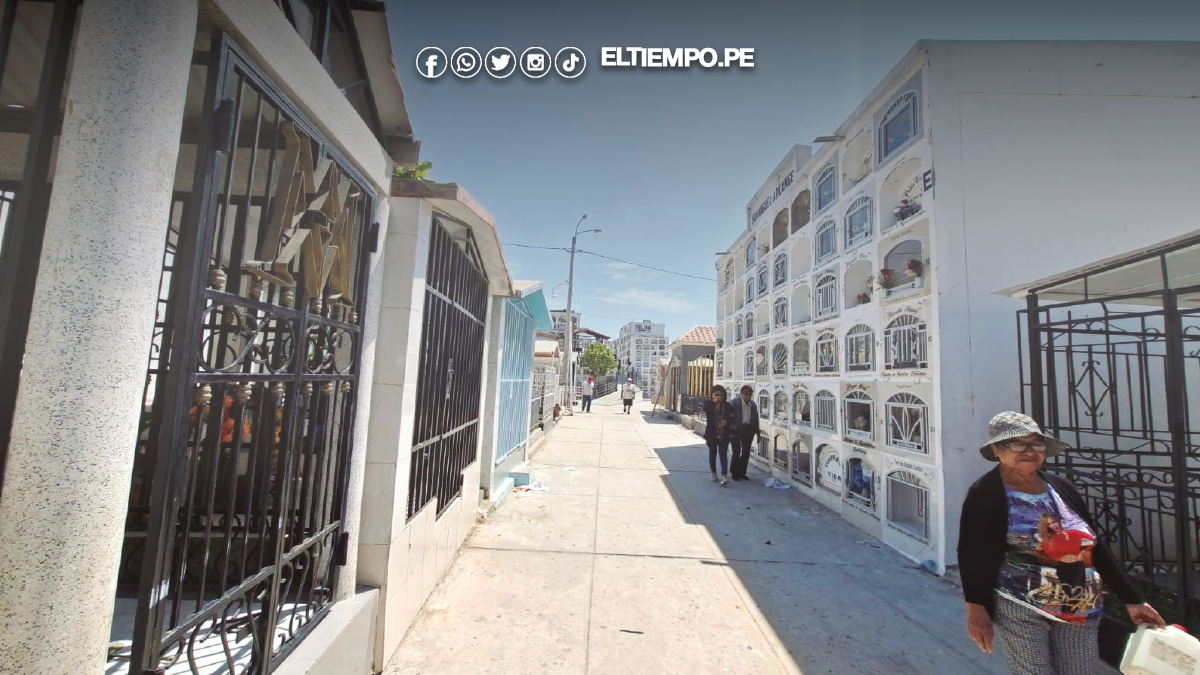 Hallan larvas de dengue en cementerio San José Hallan larvas de dengue en cementerio San José