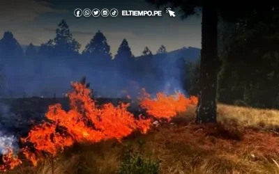 Más de un millón de personas en riesgo por incendios forestales en el Perú, según plan del Ejecutivo