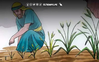 Como un granito de mostaza