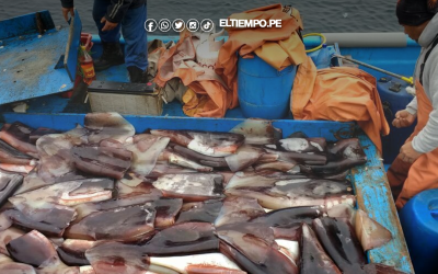 Produce autoriza segunda salida de pesca de pota