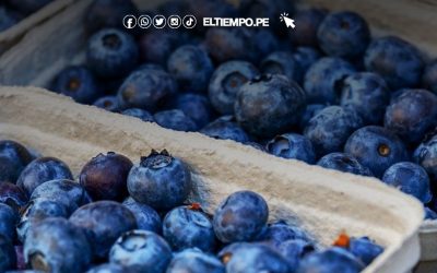 Agroexportaciones peruanas suman US$ 2,220 millones en primer bimestre y crecen 6.7%