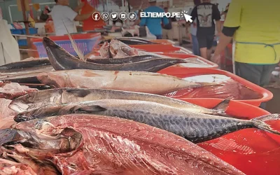 Desaparece la caballa y comer pescado se vuelve un lujo