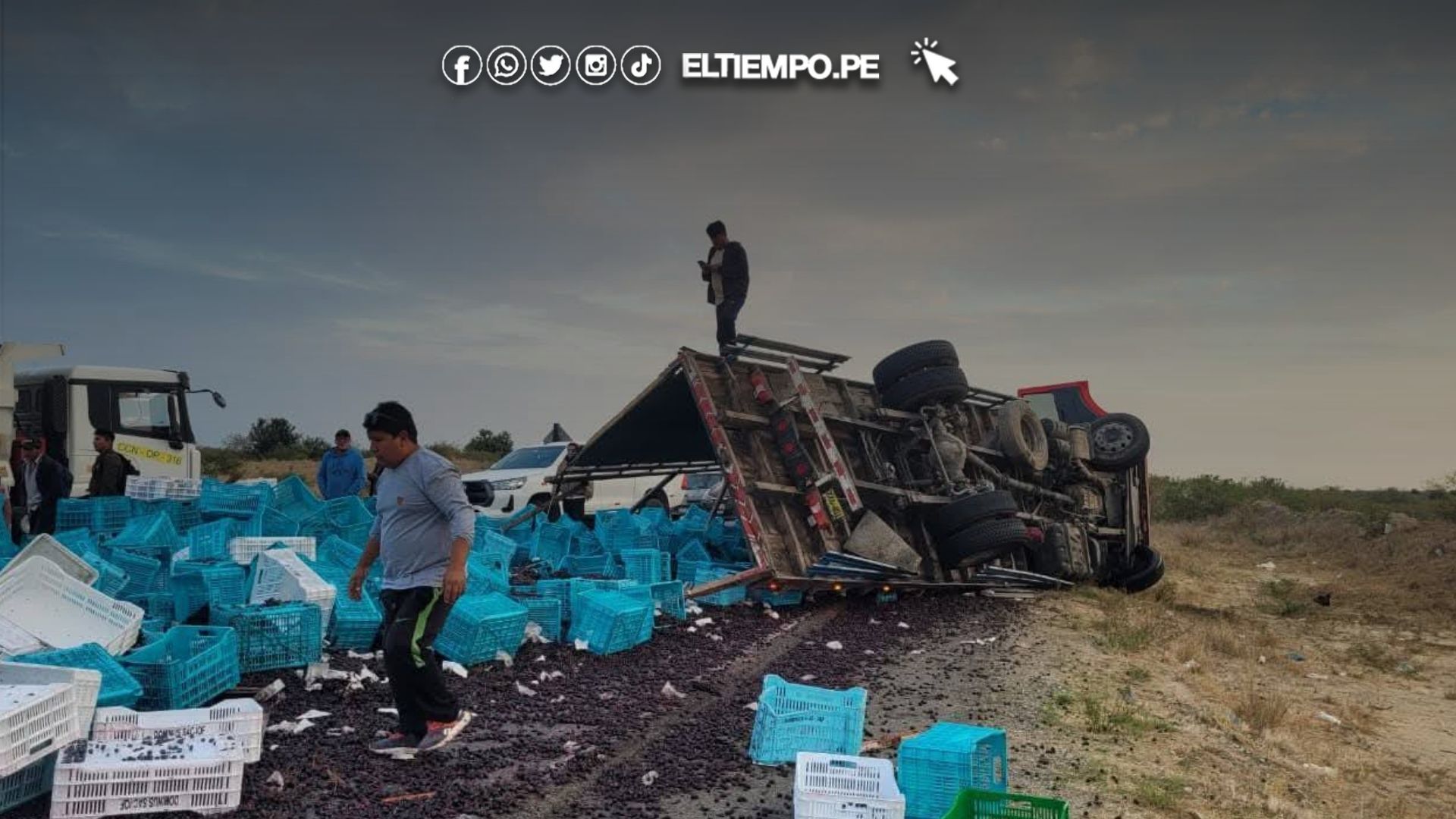 camión de arándanos