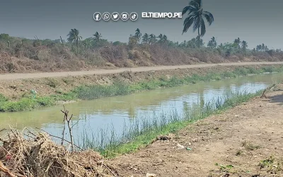 Firmarán contrato para revestir canal Checa