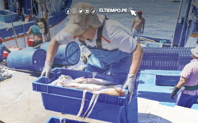 Suspenden y reabren la temporada de pota