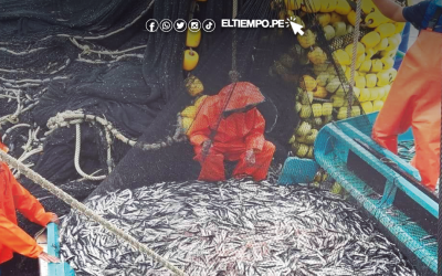 Sechura: Fijan cuota de 1.63 mlls. de toneladas de anchoveta