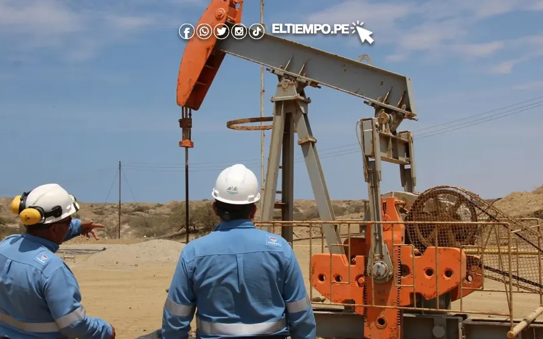 Perupetro analiza oferta colombiana para operar Lote 206 en Piura