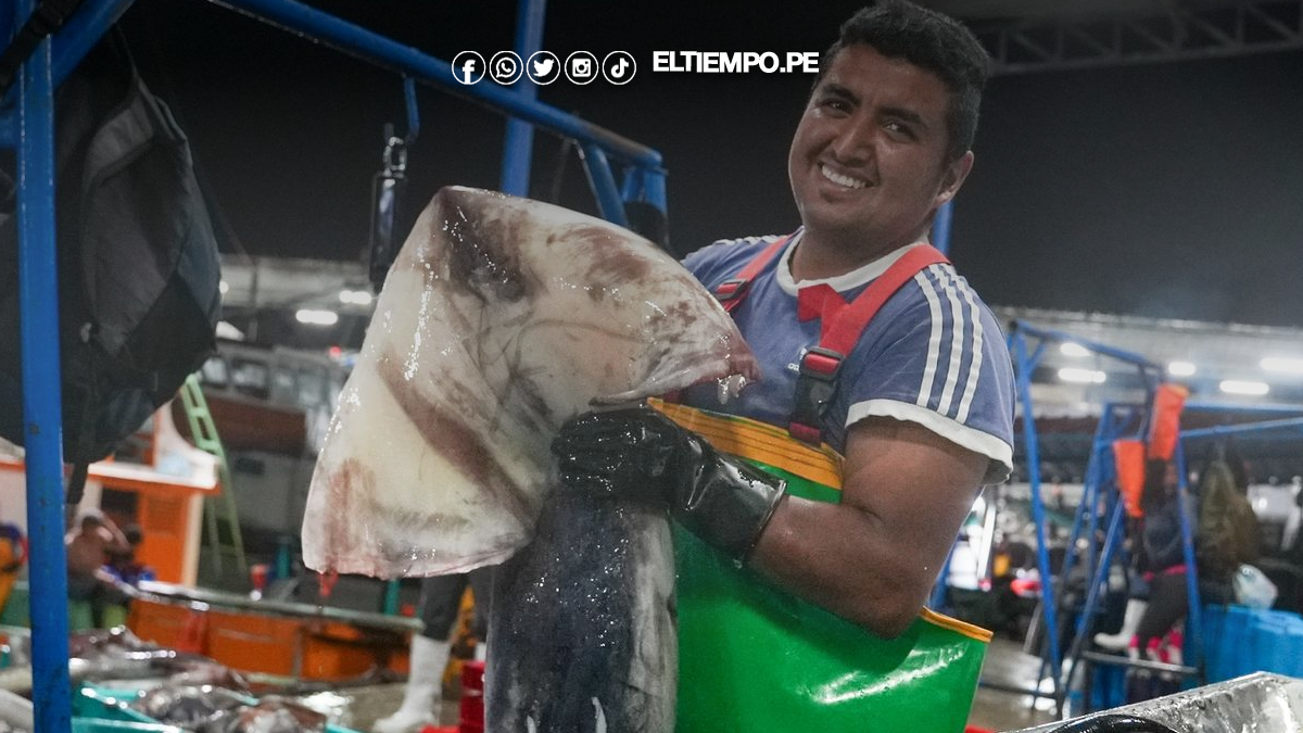 PRODUCE establece cuota complementaria de pota y autoriza reinicio de actividades extractivas desde hoy 21 de noviembre PRODUCE establece cuota complementaria de pota y autoriza reinicio de actividades extractivas desde hoy 21 de noviembre