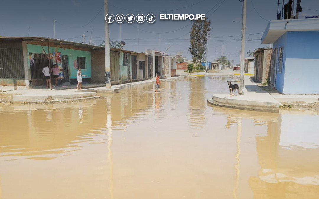 Advierten brechas contra FEN