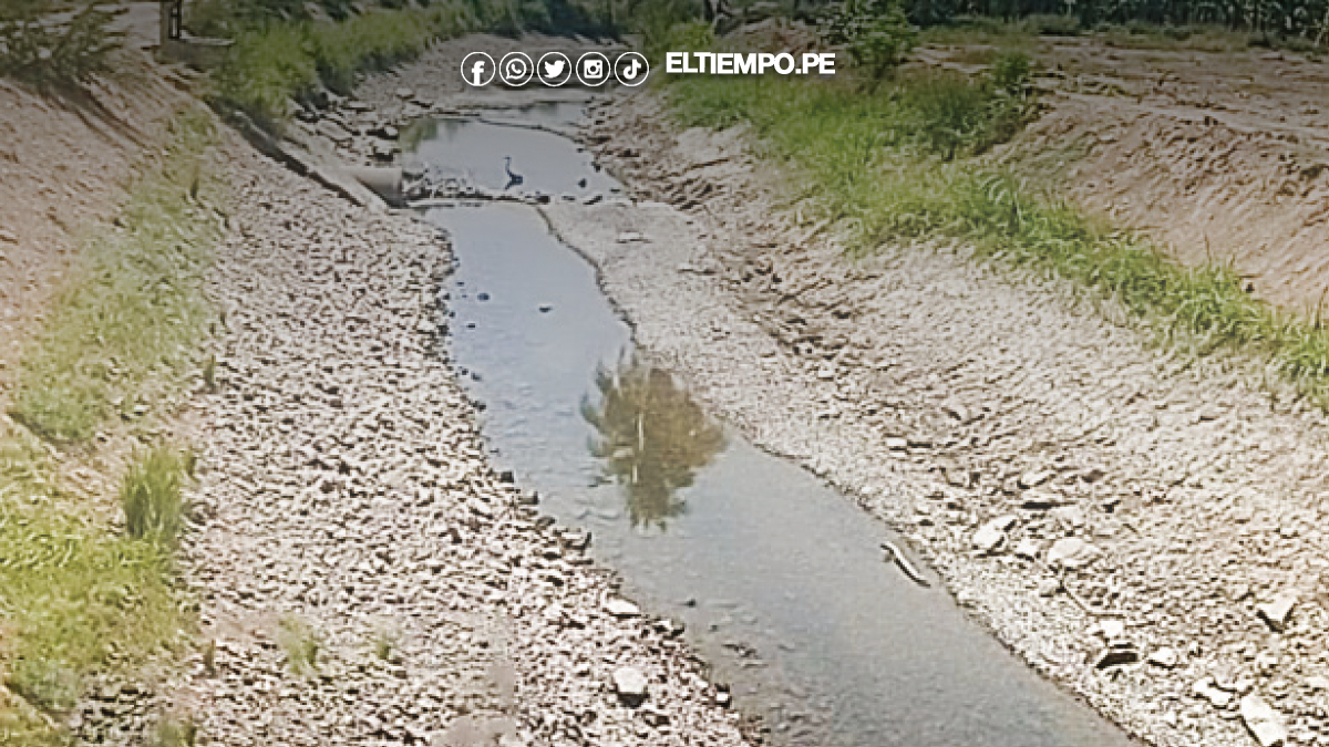 Agua alterna hasta el 20 en Querecotillo Agua alterna hasta el 20 en Querecotillo