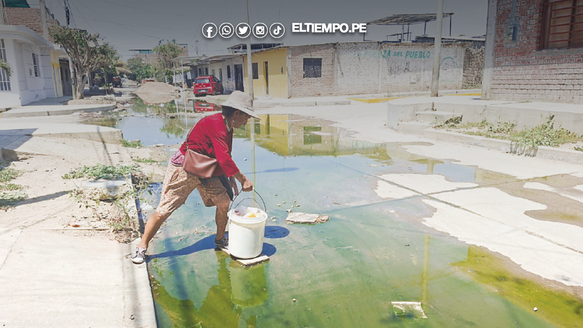 Las Palmeras Las Palmeras