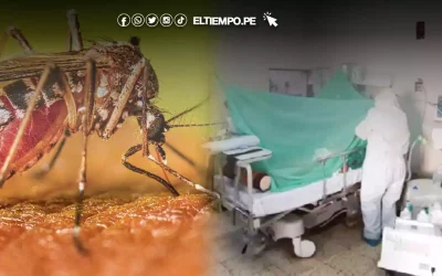 Piura en alerta por incremento de casos de dengue