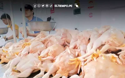 Piura: Se incrementa precio del pollo a pocos días de la navidad