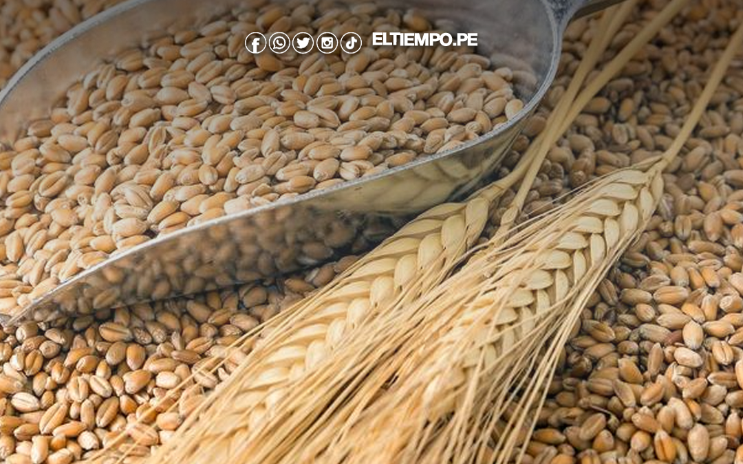 Hallan altos niveles de «químicos eternos» en cereales del desayuno