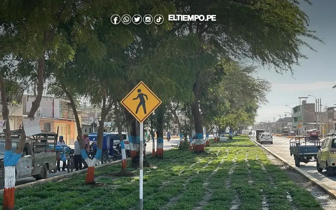 Municipalidad aplica sanciones por más de S/700 mil a consorcio Don Bosco