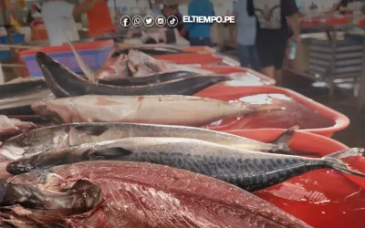 Comer pescado en Piura se volvió un lujo tras alza de precios