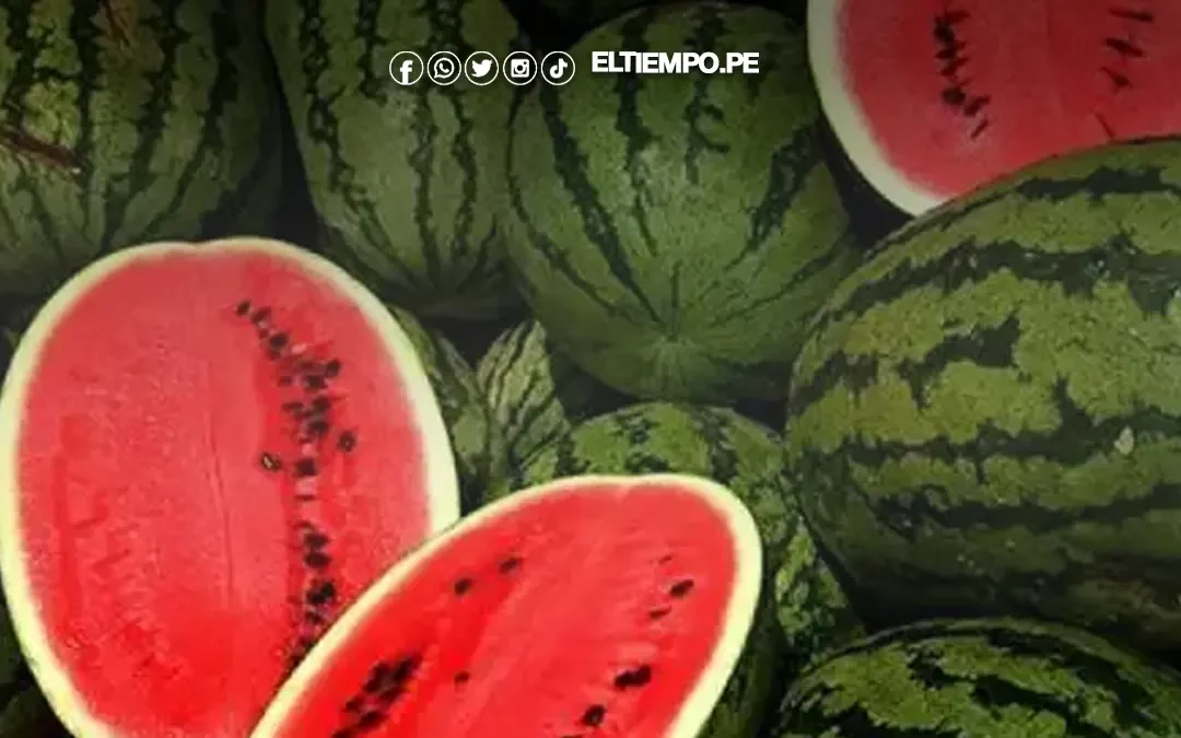 Piura evalúa producir sandía en lugar de banano para evitar propagación de hongo Fusarium