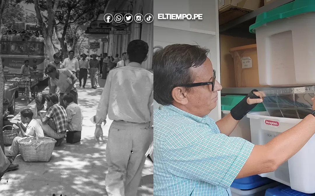 Declaran patrimonio cultural de la Nación archivo de El Tiempo