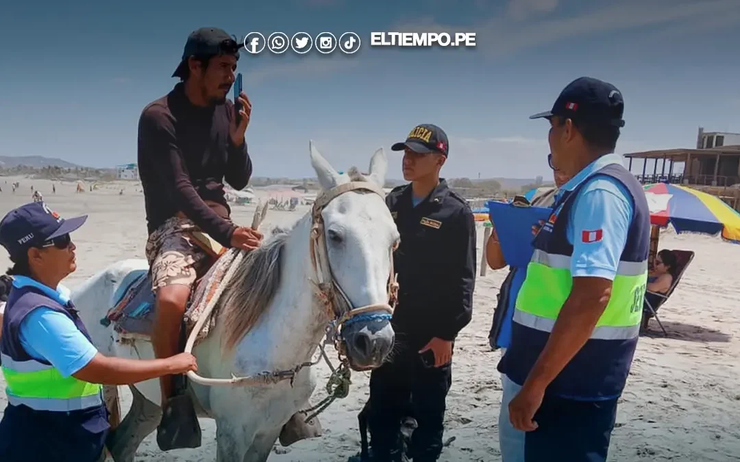 Los Órganos: Multan a propietario de caballo y comerciantes