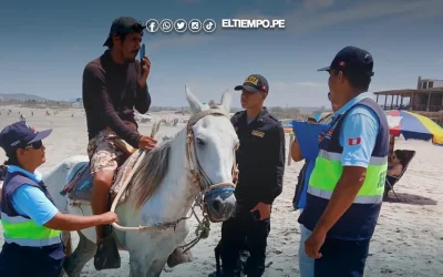 Los Órganos: Multan a propietario de caballo y comerciantes