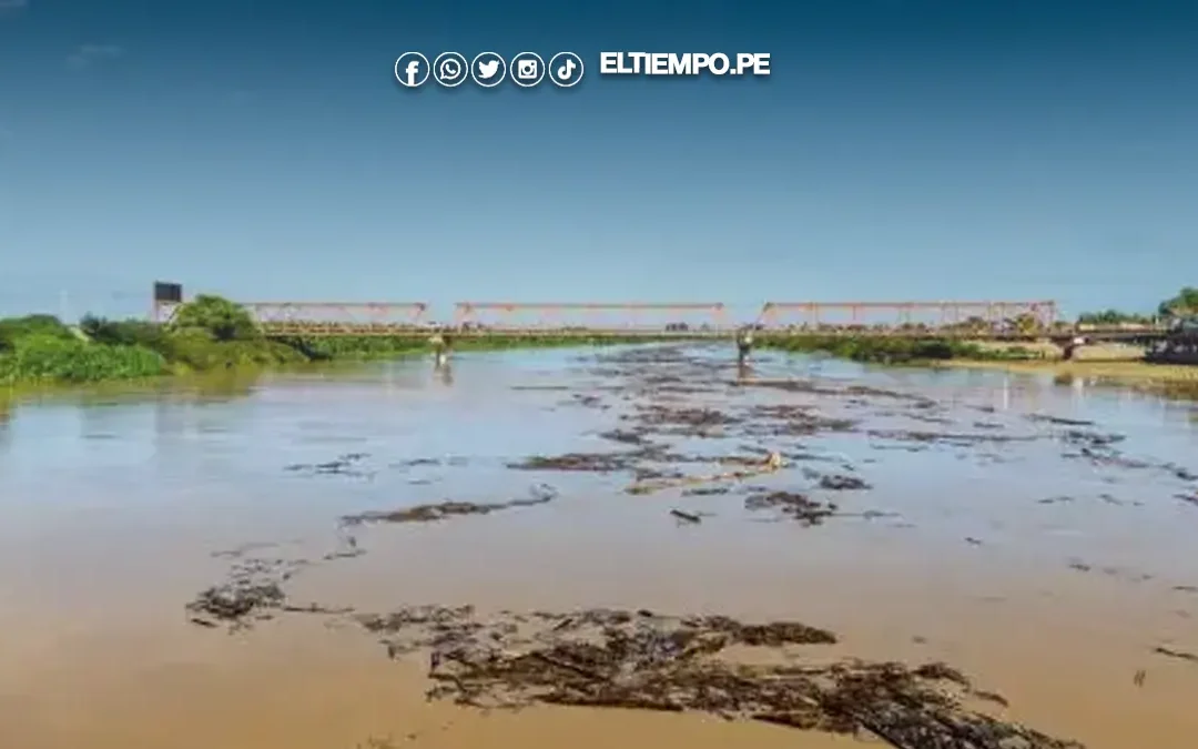 Lluvias intensas en Tumbes dejan 495 afectados y 18 damnificados en lo que va del año