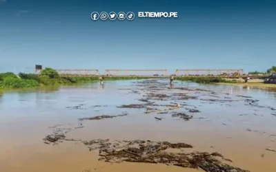 Lluvias intensas en Tumbes dejan 495 afectados y 18 damnificados en lo que va del año