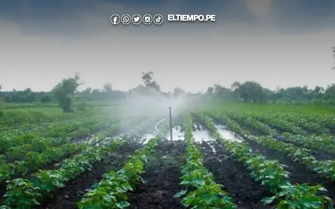 Gobierno aprueba plan de hoja de ruta hacia una economía circular en el agro al 2030