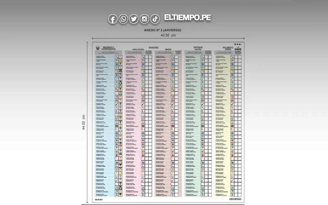 Elecciones 2026:¿Dudas sobre cómo votar? Aquí lo que necesitas saber para un voto válido