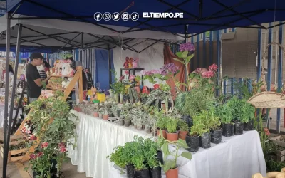 Emprendedores de la región piden apoyo municipal para ferias