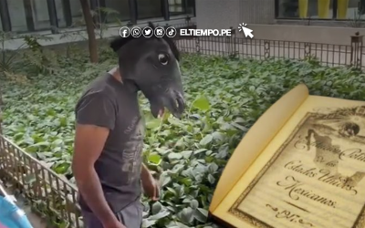 México: Hombre que se considera caballo propone Ley Therian para evitar bullying y acoso en las escuelas