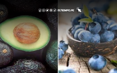 Lluvias golpean al mango y ponen en riesgo hasta 15 % de envíos en fresco