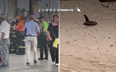 Lima: Rescatista y perrito son arrastrados por el fuerte caudal del río Rímac