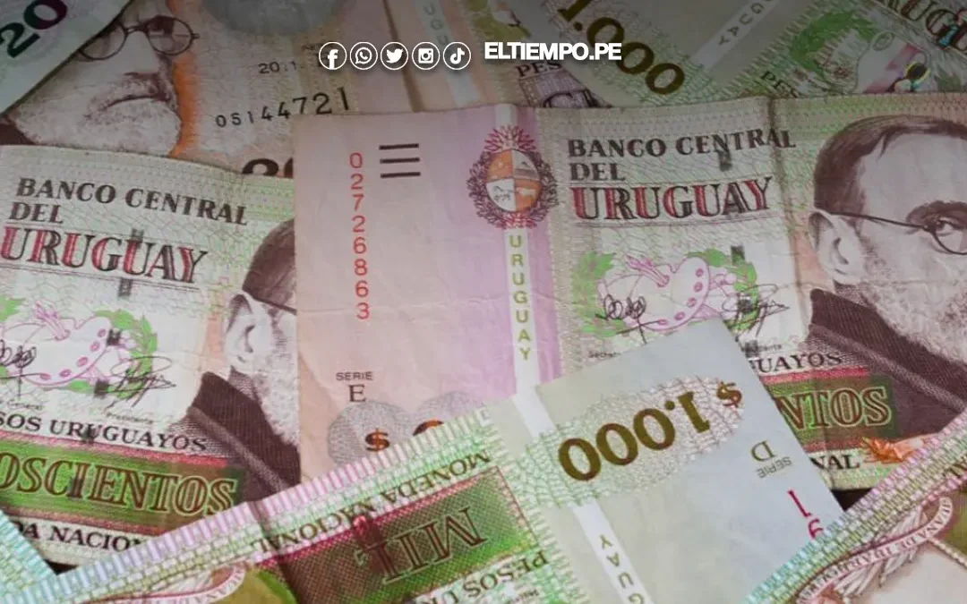 Últimas noticias del Bono de Apoyo Económico 2026: consulta los detalles