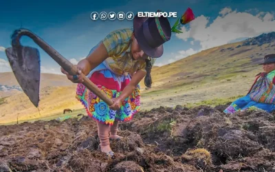 España considera socio estratégico al Perú y profundiza colaboración agroalimentaria