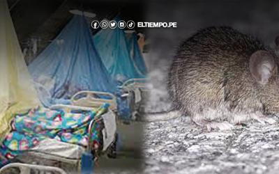 Piura: Alerta por la leptospirosis, EDA y más casos de dengue